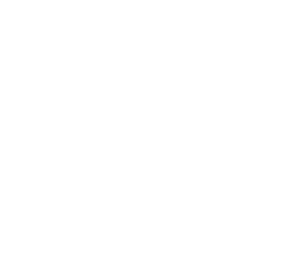 Vibrant Host Solutions